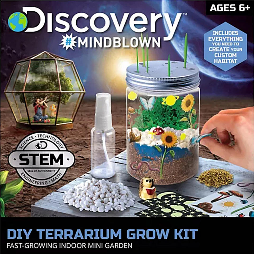 DIY Terrarium