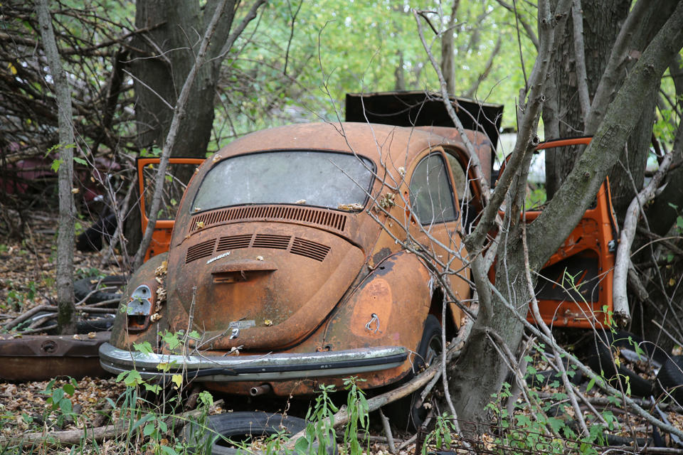 <p>Here's a car that needs very little introduction. After all, with a 65-year production run, the Volkswagen Beetle is one of the most successful and iconic cars ever built. Out of 21.5 million examples produced, the better part of <strong>5 million</strong> of them were exported to the US.</p>