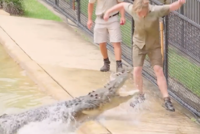 Robert Irwin left fans shocked after sharing a video of his near miss with a crocodile. Photo: Instagram/Robert Irwin