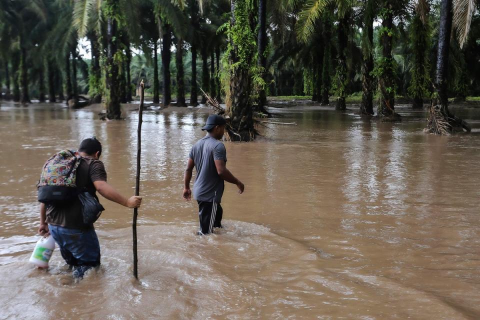 Two men walk though a flooded farm in Honduras after heavy rainfall from Hurricane Julia on Sunday (AFP via Getty Images)
