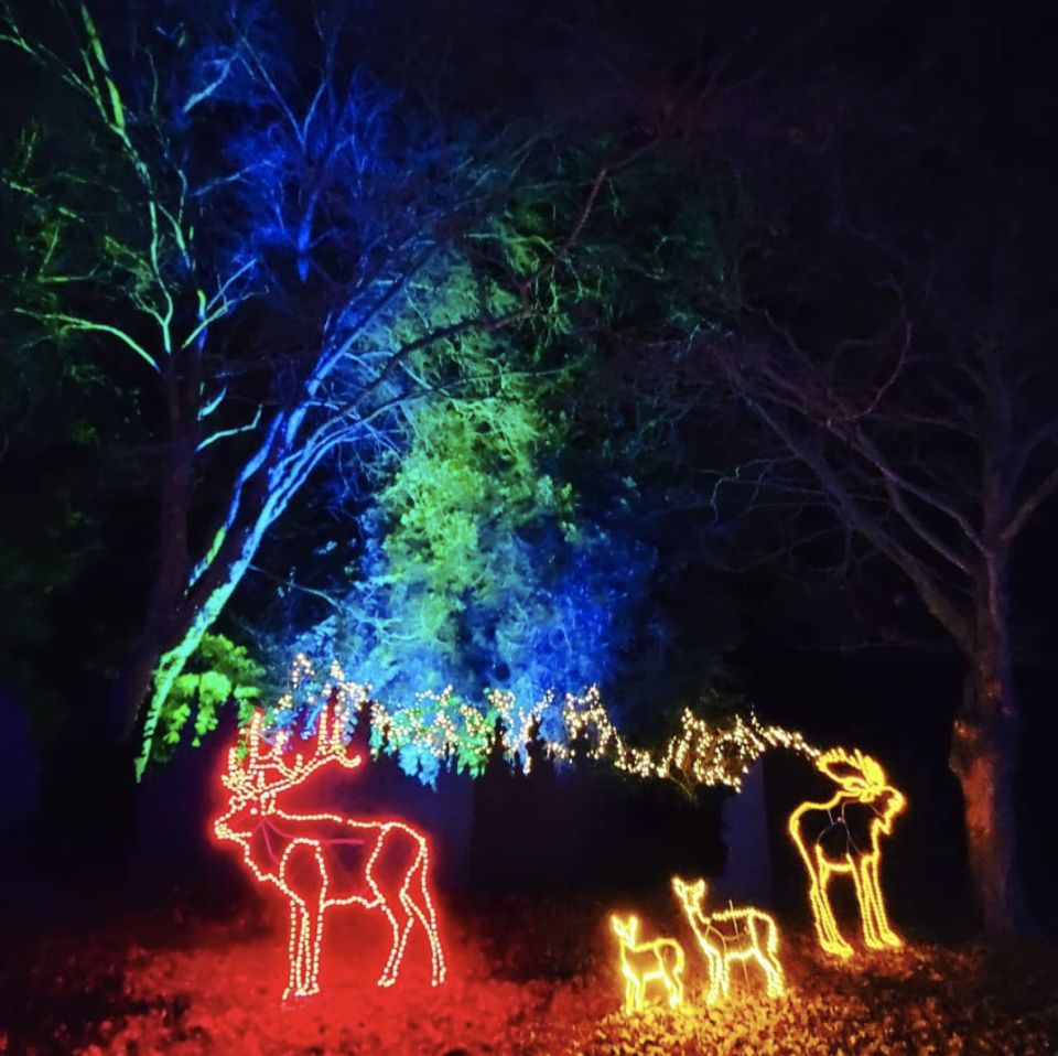 WildLanterns at the Woodland Park Zoo in Seattle, Washington