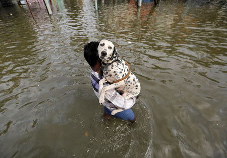 A man carries a dog as he wades through a flooded street in Chennai, in the southern state of Tamil Nadu, India, December 3, 2015. REUTERS/Anindito Mukherjee