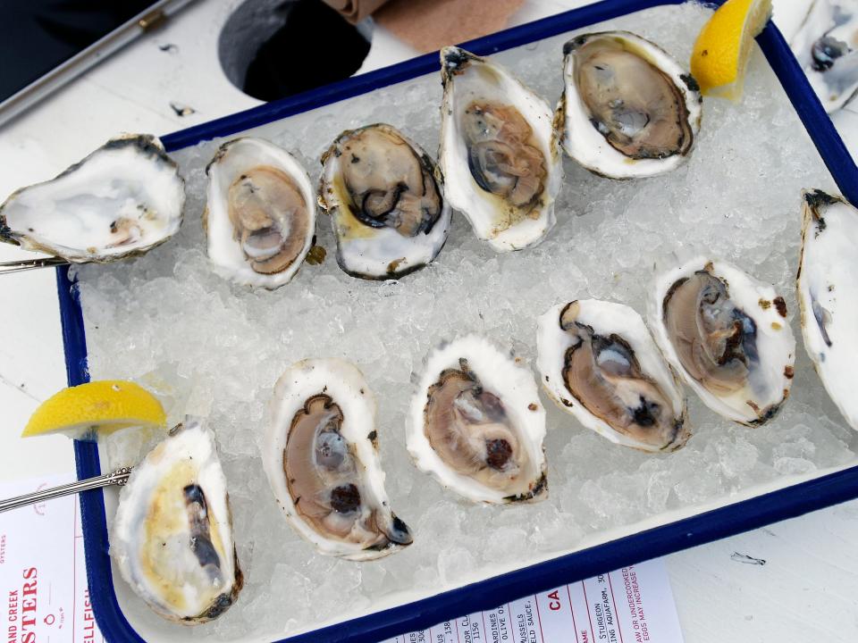 oysters maine