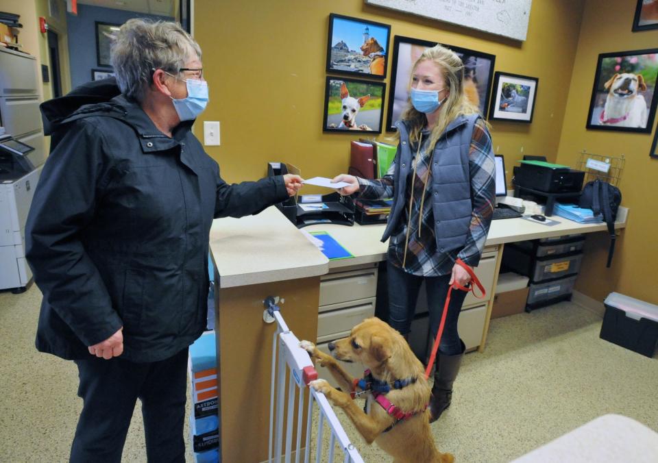 As Daisy, center, looks on, Deb Bartlett, of Scituate, left, gives a money donation on behalf of her husband, Tom Bartlett, and their dog Nina to Scituate Animal Shelter operations assistant Lindsay Kimball, right, during the Betty White Challenge, in which donations were made to local animal shelters in honor of the late actress, Monday, Jan. 17, 2022.