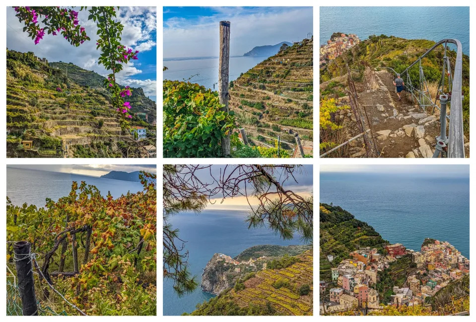 A collage showing the orchards dotting the steep terraces