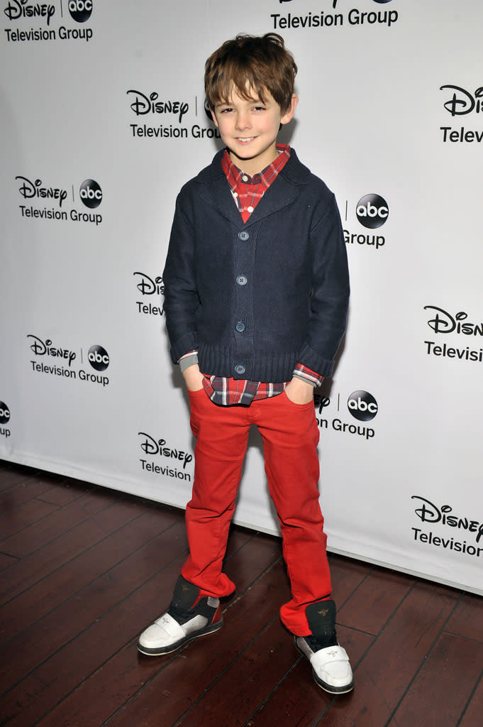 Disney ABC Television Group's "2013 Winter TCA Tour" Red Carpet Event - Arrivals