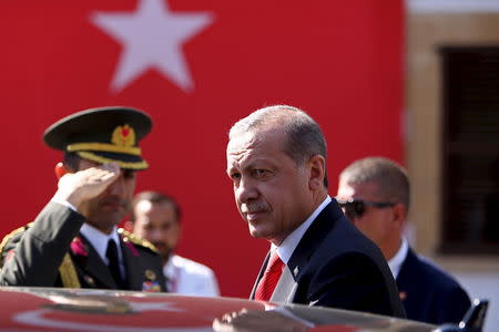 Turkey's President Tayyip Erdogan looks on durin his visit to Northern Cyprus July 20, 2015. REUTERS/Harun Ukar