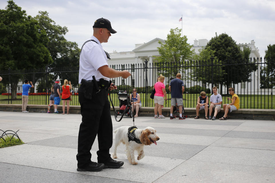 A Uniformed Division Secret Service police officer patrols with a dog on Pennsylvania Avenue in front of the White House in Washington, Wednesday, July 9, 2014. The Secret Service has started deploying specialized canine units to help protect the area around the White House grounds, where tourists flock day and night to catch a glimpse of 1600 Pennsylvania Ave. Although the Secret Service has used police dogs since 1976 to pre-screen areas for presidential visits, this is the first time theyâre being broadly deployed among the general public. (AP Photo/Charles Dharapak)