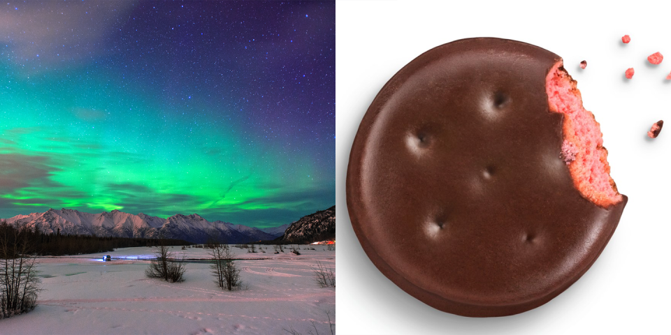 <p>Alaskans are treated to the beautiful views of the northern lights every year. But for them, apparently nothing beats the ultimate treat of a <a href="https://www.littlebrowniebakers.com/cookies-info/raspberry-rally/" rel="nofollow noopener" target="_blank" data-ylk="slk:Raspberry Rally;elm:context_link;itc:0;sec:content-canvas" class="link ">Raspberry Rally</a>.</p>