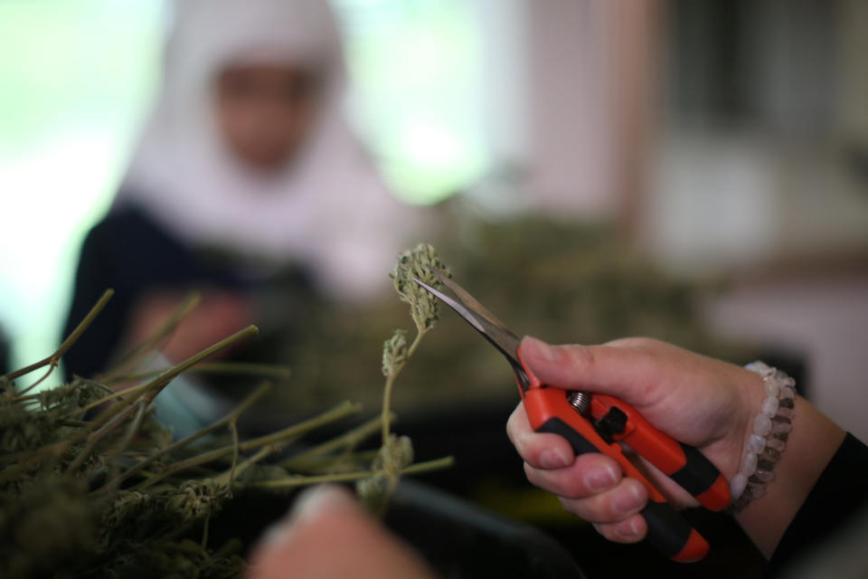 California "weed nun" Desiree Calderon, who goes by the name Sister Freya, trims hemp in the kitchen at Sisters of the Valley near Merced, California, U.S., April 18, 2017. Picture taken April 18, 2017. REUTERS/Lucy Nicholson
