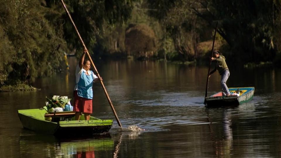 Dos personas recorren las chinampas en pequeños botes a remo.