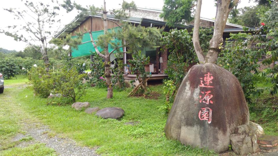 由老闆十多年前開始種植咖啡樹，可謂愚公移山。