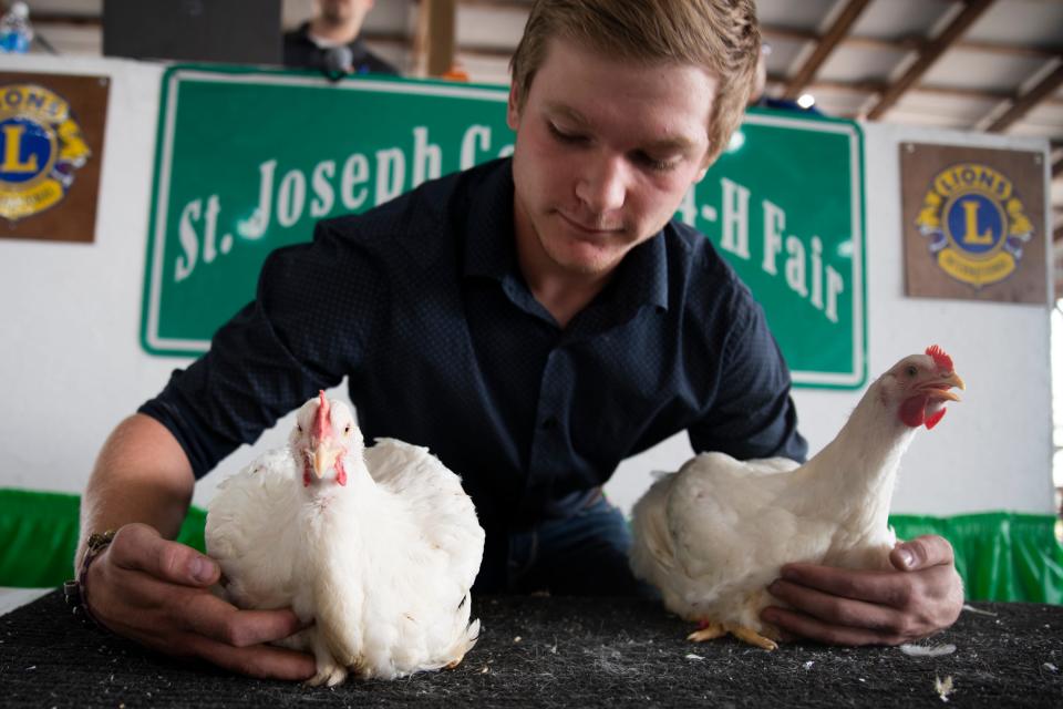 Jared Flora, 18, holds two broiler chickens that sold for $125 during the livestock auction at the St. Joseph County 4-H Fair on Friday, July 7, 2023.