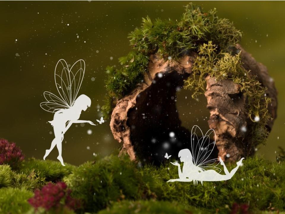 Create your own whimsical garden setting to welcome the fairies at a Museum of Natural History workshop.