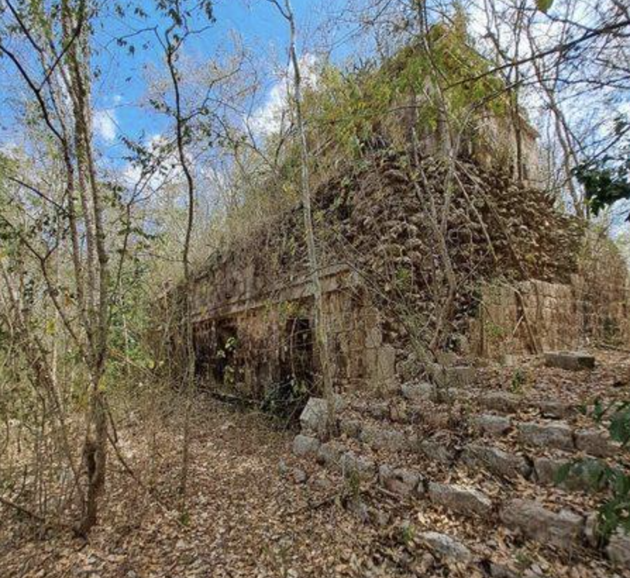 Ofertan un terreno en Yucatán “con pirámides” mayas; INAH presentará denuncia contra dueños del predio