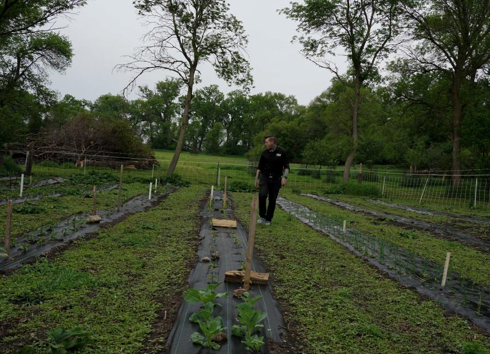 Nick Curry walks along rows of peppers at Wayward Spring Acres in Aurora, South Dakota, where he sources peppers for his hot sauces on Monday, June 6.