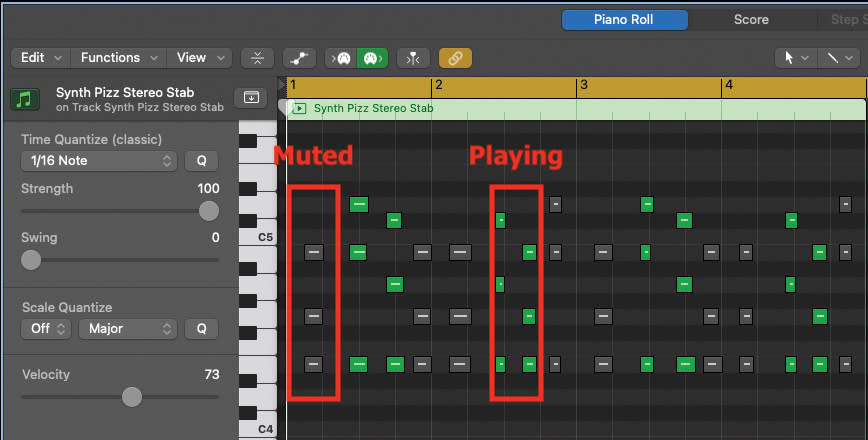 zebracm synth