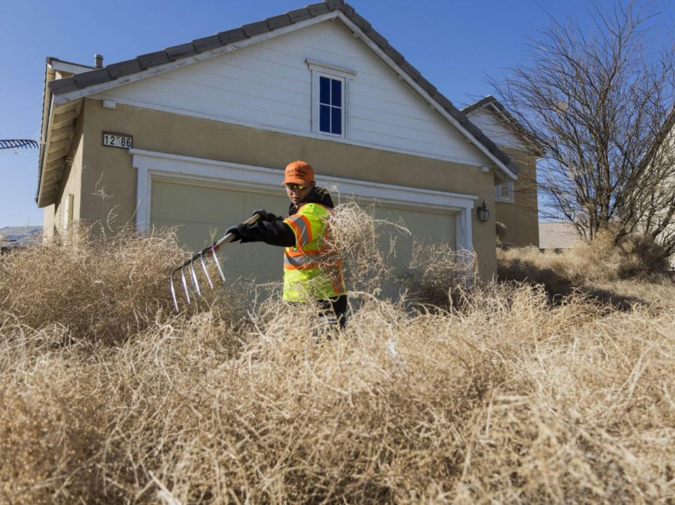 The tumbleweed blocked homes in Victorville, California (Picture: AP)