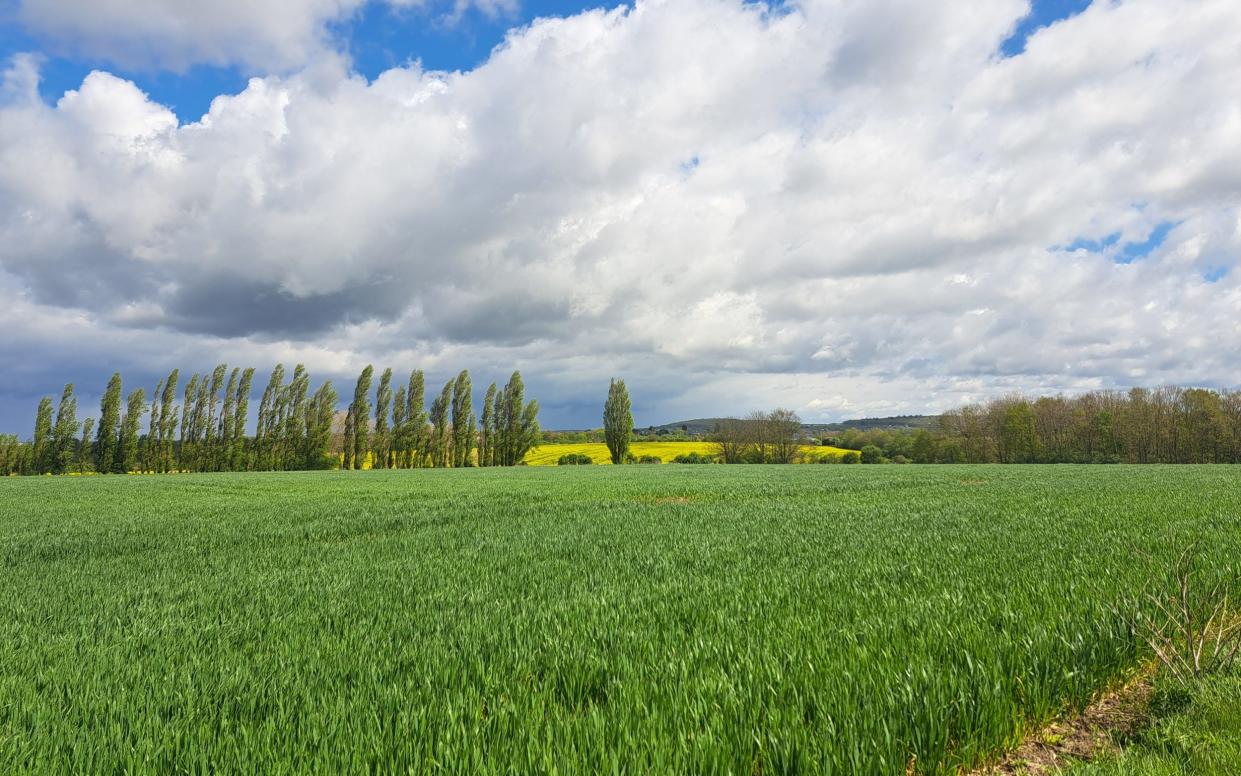 The proposal would see these fields of Grade 1 quality farmland turned into a housing estate