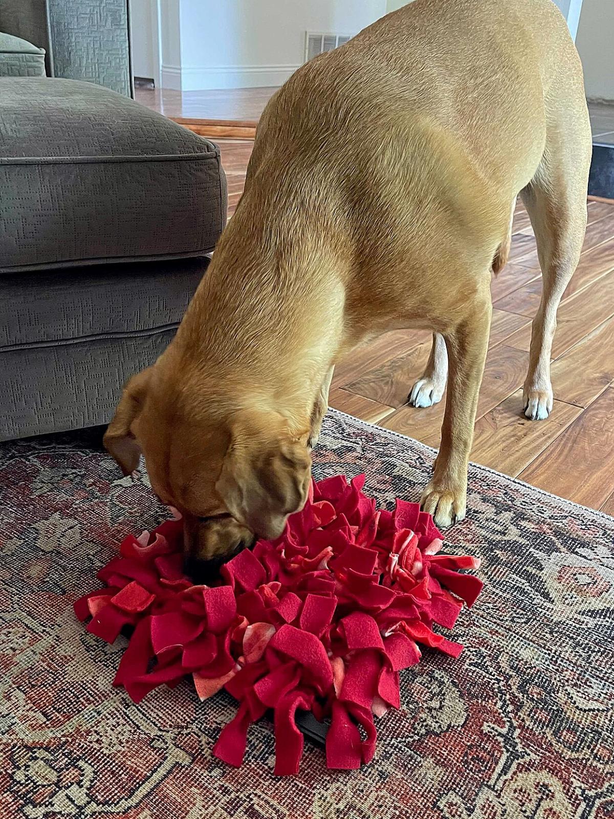 This DIY Snuffle Mat Makes Mealtime Healthier and More Fun