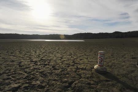 A buoy meant for boaters rests on the dry bed of Lake Mendocino, a key Mendocino County reservoir, in Ukiah, California February 25, 2014. REUTERS/Noah Berger