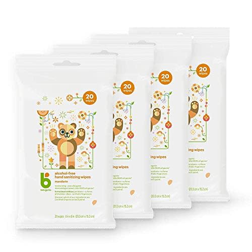 Babyganics Alcohol-Free Hand Sanitizer Wipes (Amazon / Amazon)