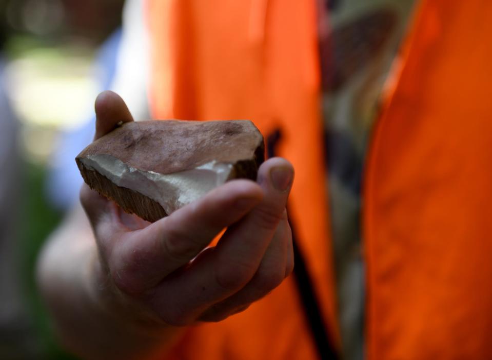 Matthew Harhai, Goat Plum Tree Farm owner, points out what to look for during a mushroom foraging class Saturday, Sept. 2, 2023, in Berlin, Maryland.