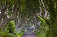 Bregagh Road in Ballymoney, Northern Ireland, is a verdant street designed in the 18th century. Nicknamed Dark Hedges, the road will be instantly recognizable to fans of the HBO show <em>Game of Thrones.</em>