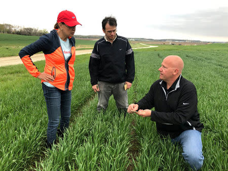 Crop scouts Linda Mutch (L), Rafael Peruzzo and Justin Gilpin (R) survey wheat fields during a Wheat Quality Council tour near Manhattan, Kansas, U.S., May 1, 2018. Picture taken on May 1, 2018. REUTERS/Michael Hirtzer