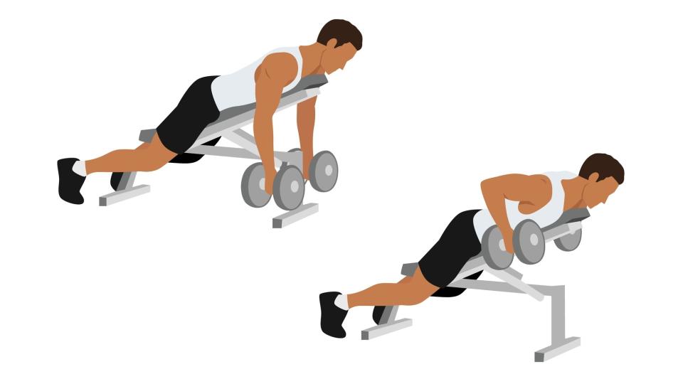 Dumbbell incline row vector