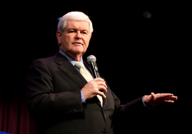 美國前眾議院議長金瑞契（Newt Gingrich）。Flickr by Gage Skidmore