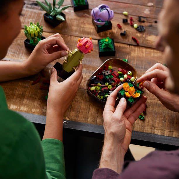 adults putting together LEGO succulents