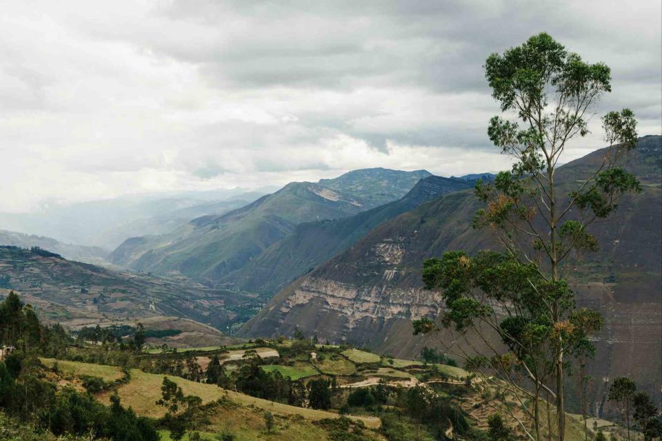 <p>João Canziani</p> A valley between Leymebamba and Chachapoyas.