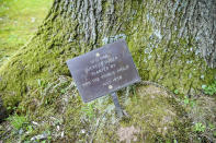 A plaque at the base of a tree planted by Prince Philip in 1958 at Britannia Royal Naval College in Dartmouth, Devon, where the he first met the Queen whilst training as a young naval cadet, England, Monday, April 12, 2021. Britain's Prince Philip, the irascible and tough-minded husband of Queen Elizabeth II who spent more than seven decades supporting his wife in a role that mostly defined his life, died on Friday. (Ben Birchall/PA via AP)