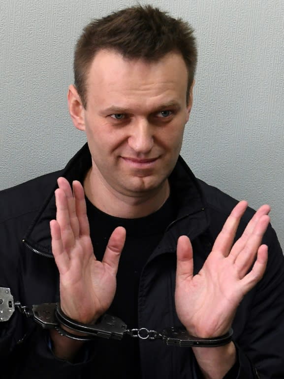 Kremlin critic Alexei Navalny has been hit with a 30-day jail term