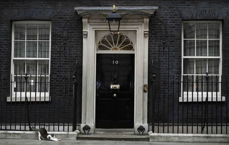 Larry, the resident cat of 10 Downing Street stretches outside the door, in London, Britain October 24, 2016. REUTERS/Dylan Martinez