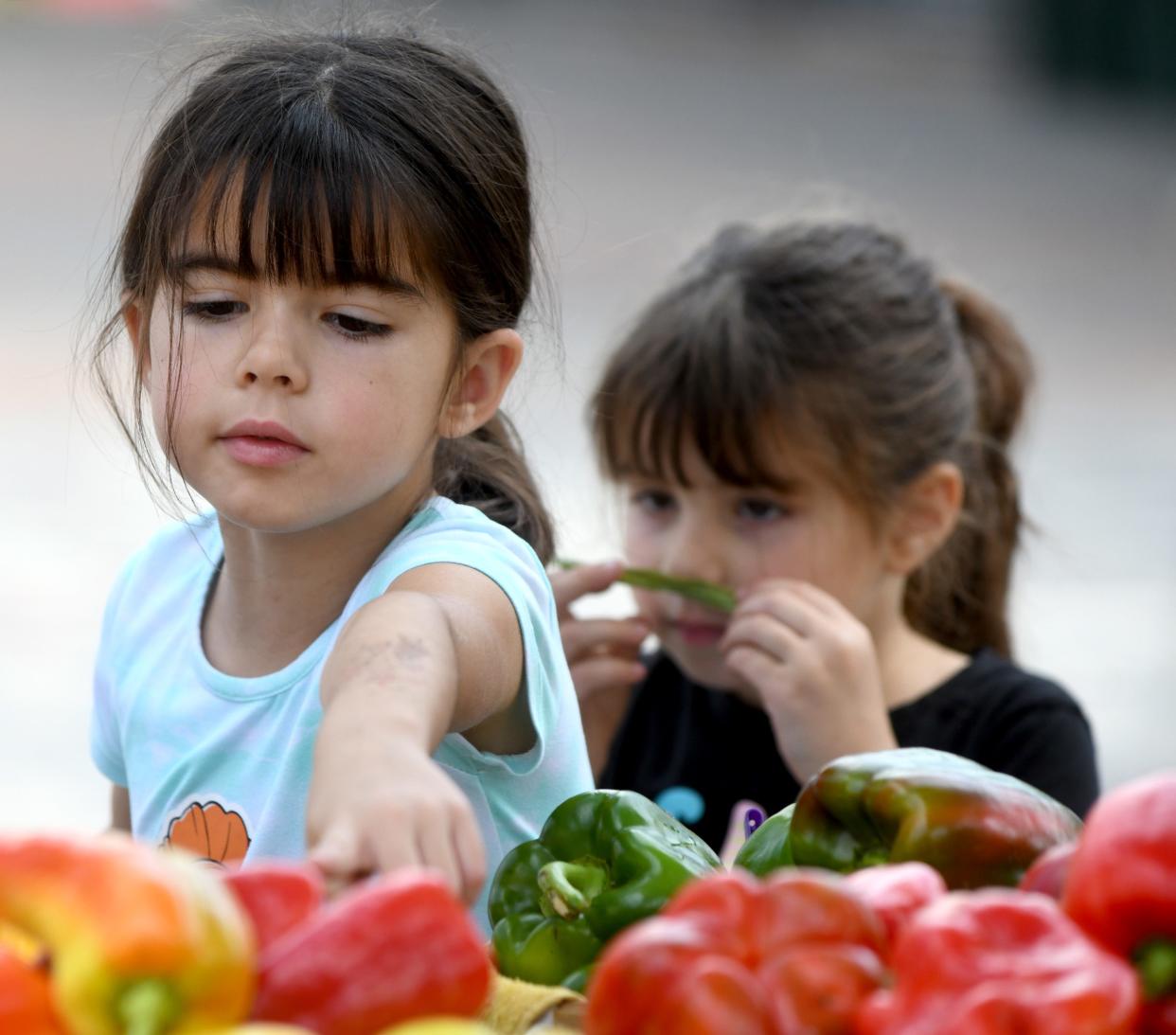 Eliana Papadopoulos, 6, of Louisville picks out produce with help from sister, Aria, 4, from May's Produce of Randolph at the Canton Farmers Market in Downtown Canton.