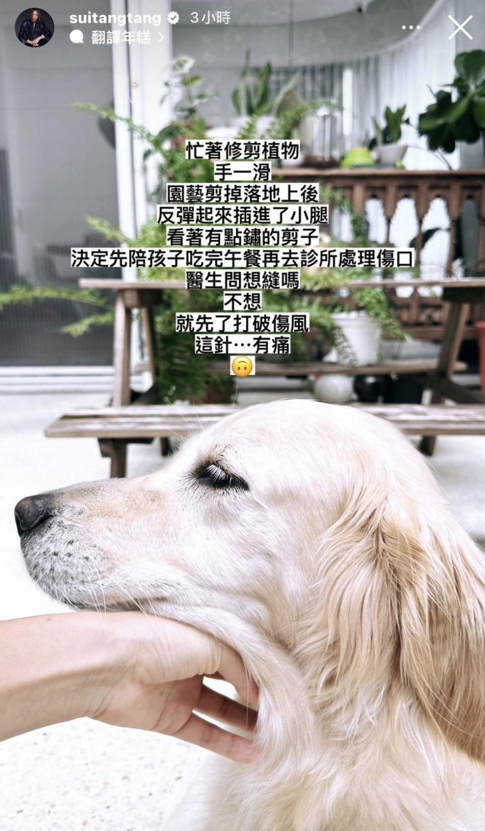 隋棠在IG限動上曝光傷勢。（圖／翻攝自隋棠Instagram）