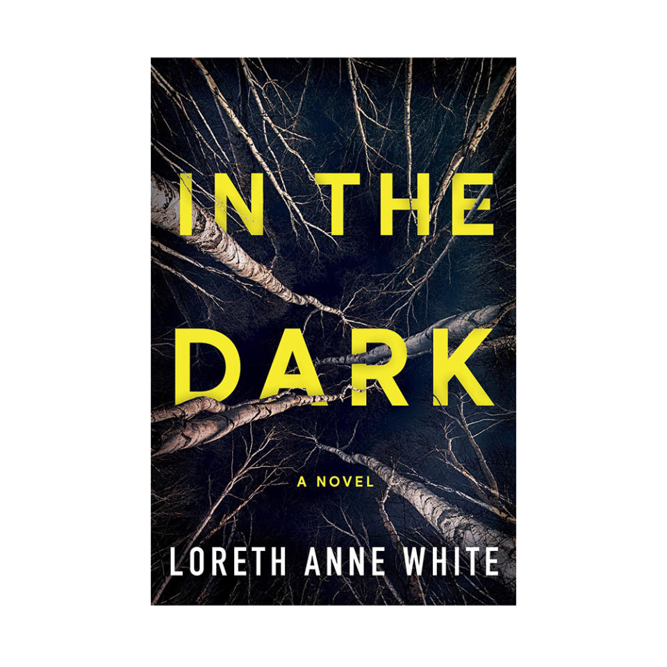 In The Dark by Loreth Anne White