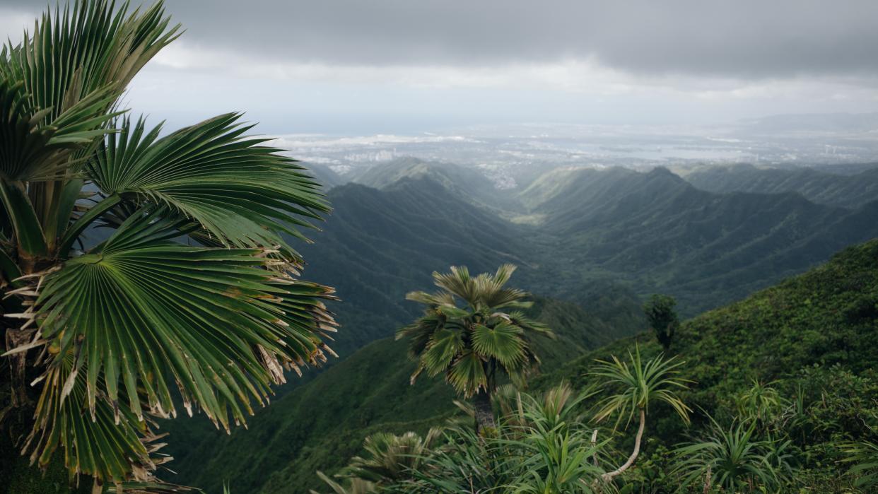  View from the summit of the Koolau Mountain range on the island of Oahu in Hawaii. 