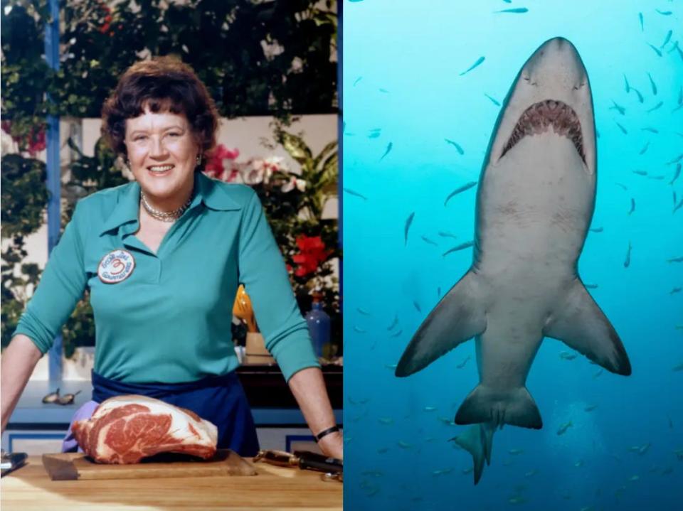 julia child and shark