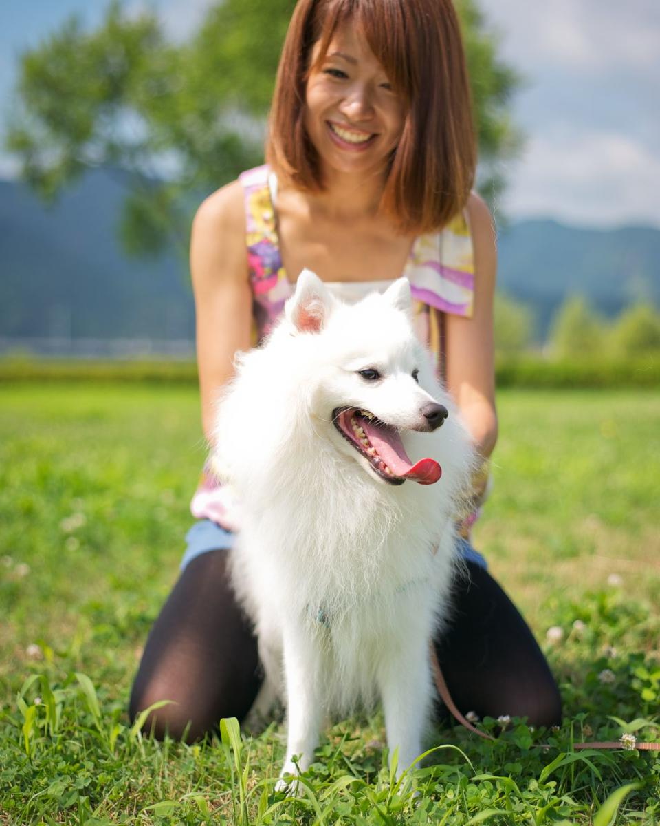 Japanese Spitz