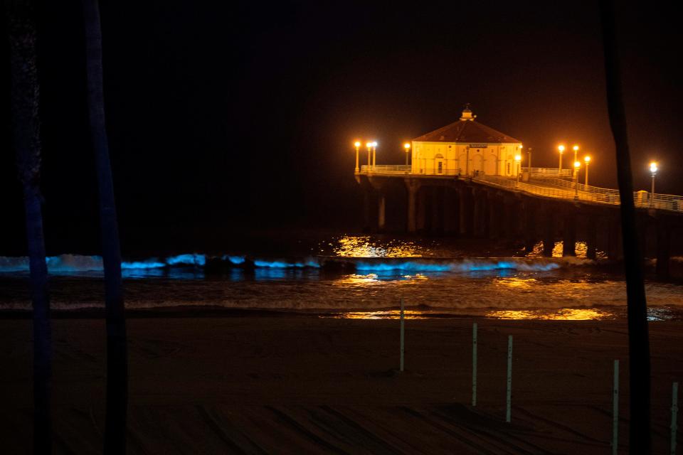 The Pier is seen as bioluminescent waves crash on the sand, shining with a blue glow on April 28, 2020, in Manhattan Beach, California.