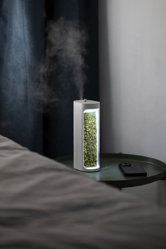<p>Moss Air</p>Step 4. Humidifiers for Dry Environments<ul><li>In dry climates or during cold weather when indoor air tends to be dry, consider using humidifiers to add extra moisture to the air. This helps prevent issues like dry skin, respiratory problems, and damage to wooden furniture and flooring.</li><li>Choose a humidifier appropriate for the size of your space. Consider features such as adjustable settings and automatic shut-off for convenience and energy efficiency. One new product we really liked is<a href="https://shop.mosslab.com/products/mossair" rel="nofollow noopener" target="_blank" data-ylk="slk:Moss Air;elm:context_link;itc:0;sec:content-canvas" class="link "> Moss Air</a>, a home air purifier/humidifier that uses real living indoor plants (moss, specifically) to lower indoor CO2, remove toxins, and manage dust and allergies while boosting humidity in a space. Plus, it's small and portable, so you can use it wirelessly throughout your home to improve humidity with water vapor when you need it most.</li><li>Remember: Regularly clean and maintain your humidifier to prevent creating a breeding ground for mold, and to ensure optimal performance.</li></ul>Step 5. Use Dehumidifiers for Humid Environments<ul><li>In humid climates or during moist seasons, a dehumidifier can be a lifesaver during bouts of excessive humidity. These appliances extract excess humidity from the air, helping to maintain optimal moisture levels indoors and reduce musty odors. Place dehumidifiers in areas prone to high humidity, such as basements, crawl spaces, or laundry rooms.</li><li>Choose a dehumidifier with the appropriate capacity for the size of the space you need to treat. Consider features such as automatic shut-off and adjustable humidity settings for convenience and energy efficiency.</li></ul><p>“Whole home dehumidifiers are the most efficient and fastest way to remove excess moisture from your home given their continuous operation and high-capacity removal rates," shares <a href="https://www.linkedin.com/in/jennie-bergman-9a6b4921" rel="nofollow noopener" target="_blank" data-ylk="slk:Jennie Bergman;elm:context_link;itc:0;sec:content-canvas" class="link ">Jennie Bergman</a>, Senior Product Manager of Indoor Environmental Air Quality at <a href="https://www.trane.com/residential/en/products/indoor-air-quality/humidity-control/whole-home-dehumidifiers/" rel="nofollow noopener" target="_blank" data-ylk="slk:Trane Residential;elm:context_link;itc:0;sec:content-canvas" class="link ">Trane Residential</a>. "[Trane's] <a href="https://www.trane.com/residential/en/products/indoor-air-quality/humidity-control/whole-home-dehumidifiers/" rel="nofollow noopener" target="_blank" data-ylk="slk:dehumidifiers;elm:context_link;itc:0;sec:content-canvas" class="link ">dehumidifiers</a> come with an added benefit of being able to draw in fresh outdoor air into the home, helping to improve indoor air quality. Whole home dehumidifiers are more expensive than portable units and require a professional contractor to assist with the install, but they avoid the tedious task of continuously dumping buckets of water and the nuisance of that loud fan and compressor noise in the living space.”</p>
