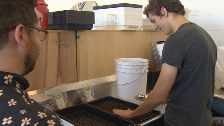 Calgary school named 'greenest' in Canada