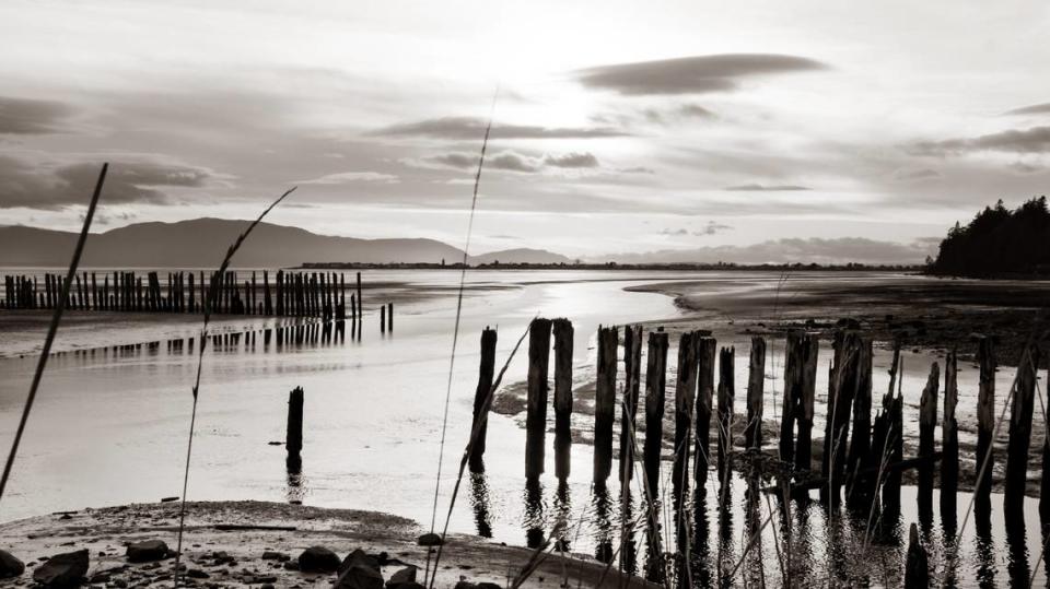 Vanessa Story’s “Lummi River Estuary off Red River Rd” was judged Best in Show second place in the 2022 “Essence of Bellingham” photo competition.