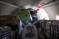 Wings of Rescue co-founder Cindy Smith loads 50 dogs from the Front Street Animal Shelter in Sacramento, California, to be flown to a no-kill shelter in Idaho, December 9, 2013. Picture taken December 9, 2013. REUTERS/Max Whittaker (UNITED STATES - Tags: ANIMALS SOCIETY)