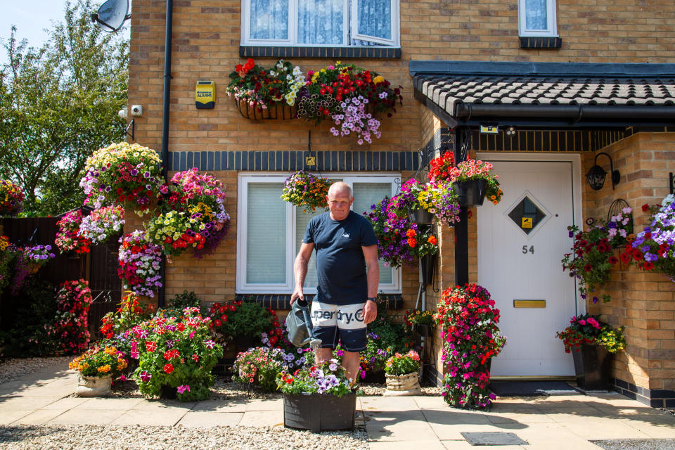 The hanging baskets of Bristol