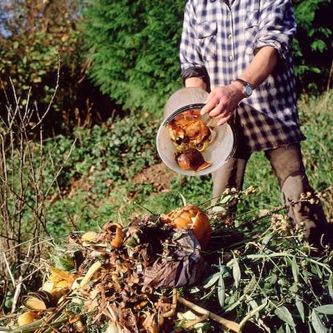 Autumn brings lots of compost - Credit: Alamy