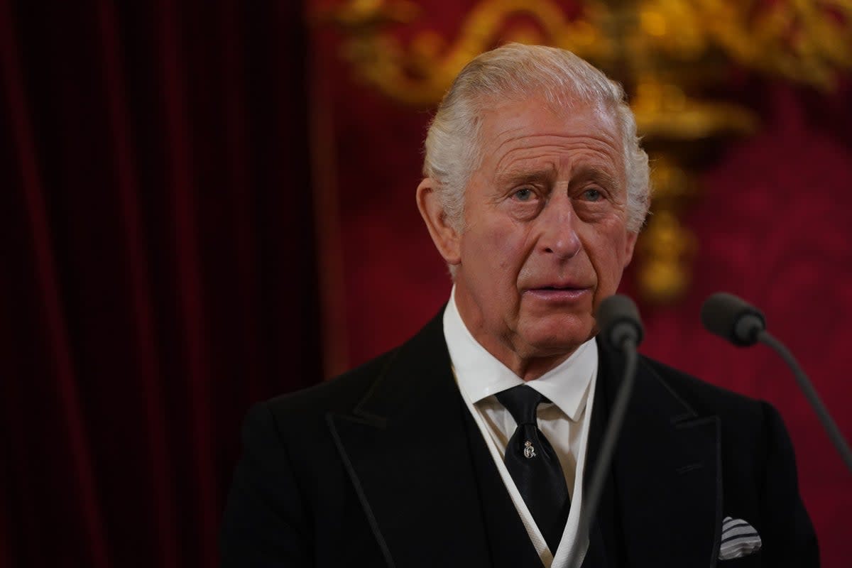 King Charles III during the Accession Council at St James’s Palace (PA) (PA Wire)